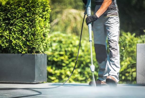 Best Driveway Pressure Washing  in Frankfort, MI