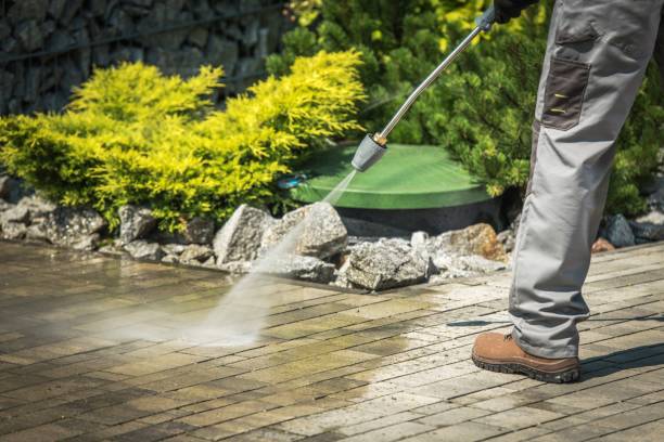 Best Patio and Deck Pressure Washing  in Frankfort, MI