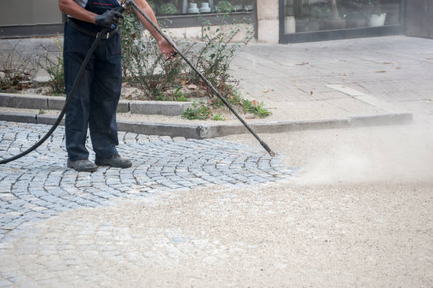Best Sign and Awning Cleaning  in Frankfort, MI