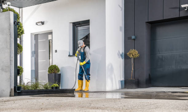 Best Paint Preparation  in Frankfort, MI